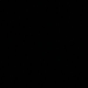 Meet your Posher, Benjamin